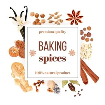 Backing spices big set under squire emblem Stock Illustration