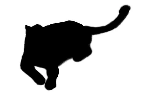 Backlight of leopard Stock Illustration