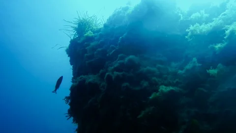 Backlight marine slope Stock Footage 122847858