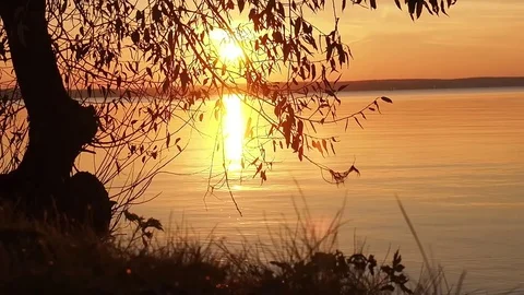 Backlight Rays of sunset over the lake. pan Stock Footage 77467326