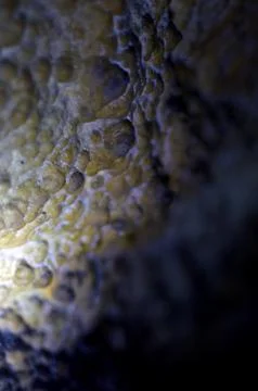 Backlight stalactites in the cave Stock Photos