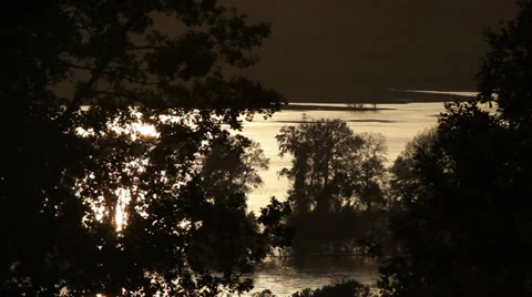 Backlight at sunset Stock Footage 34415844