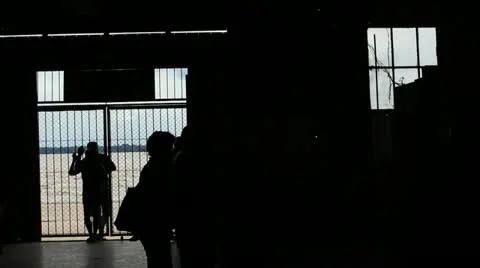 Backlighting. 库存影片 12432428