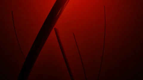 Backligts reddish cables Stock Footage 55443155