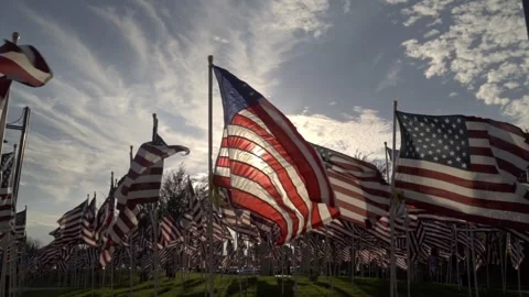 Backlit American Flags Waving in Field at Sunset, Fourth of July Celebration 库存影片 338021577