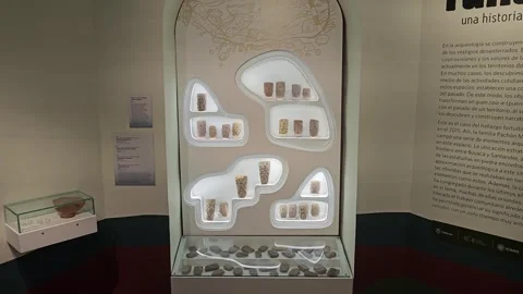 Backlit Archaeological Display Wall with Stone Artifacts, Colombia 8K Stock-Footage 331513866