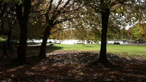 A backlit autumn scene in a park while silhouetted people walk by. Stock Footage 146670038