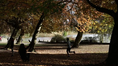 A backlit autumn scene in a park while silhouetted people walk or jog by. Stock Footage 146670195