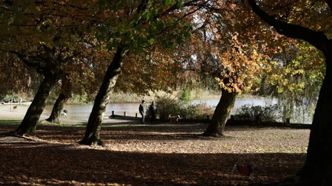 A backlit autumn scene in a park while silhouetted people walk or bike by. Stock Footage 146670237