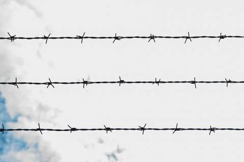 Backlit barbed wire. Stock Photos