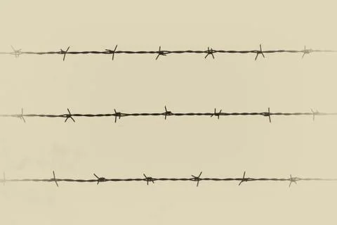 Backlit barbed wire. Stock Photos