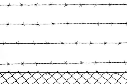 Backlit barbed wire. Stock Photos