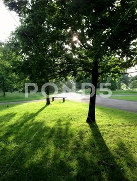 Backlit Bench Stock Photos