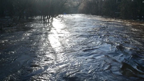 Backlit Black River Spring flooding water Upper Peninsula Michigan Video stock 312346761