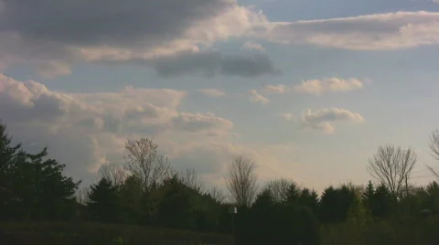 Backlit clouds at sunset, dark tree line &amp; Seagull Stock Footage 398189
