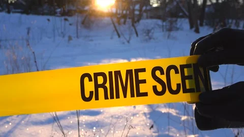 Backlit Crime Scene Tape Unrolling in Snowy Forest at Winter Sunset Stock Footage 329097138