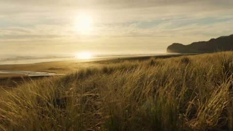 Backlit Dune Grass over Wide Beach and Headland at Sunset, New Zealand 库存影片 348890918