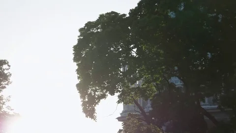 Backlit Dust Particles Stock Footage 83434141