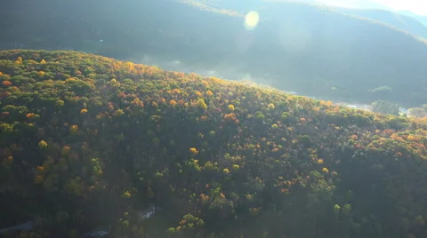 Backlit Fall Trees 스톡 동영상 43858777
