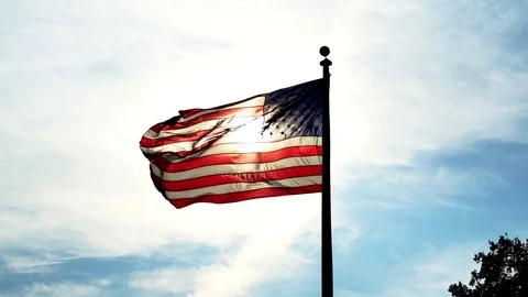 Backlit Flag in the Wind Video stock 81304378