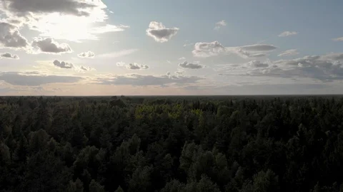 Backlit forest sunset aerial tree tops lit and scattered clouds Stock Footage 116864866