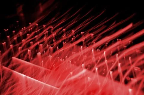 A backlit illuminated computer keyboard with red for the color and a zoom eff Stock Photos