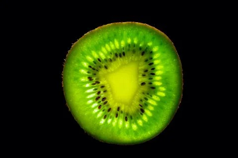 Backlit Kiwi Slice Stock Photos
