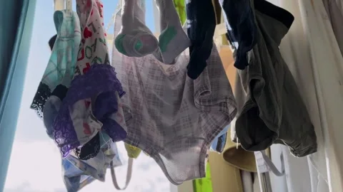 Backlit laundry with underwear and socks hanging to dry by apartment window Stock Footage 332967251