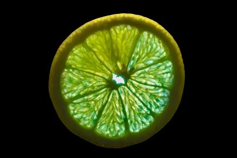 Backlit Lemon Slice Stock Photos