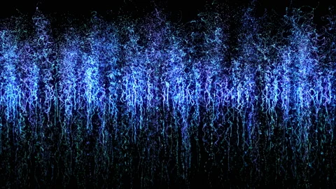 Backlit for the logo. Stock Footage 97797002