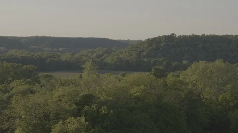 Backlit Missouri Trees in the Spring Stock Footage