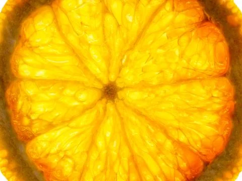 Backlit Orange Slice Фото