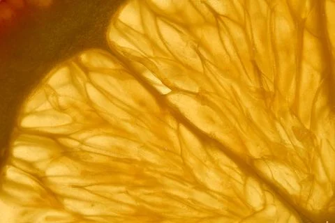 Backlit Orange Slice Texture Stock Photos