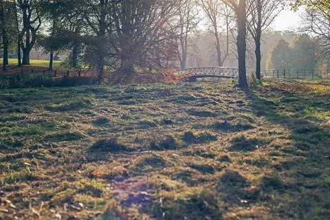 Backlit park with white bridge in autumn. Stock Photos