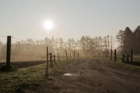 Backlit pastures Stock Photos