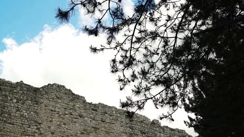 Backlit pine branches, an ancient wall and the sky, 4K Stock Footage 75675837