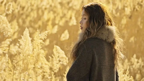 Backlit Rear View Portrait of Young Asian Woman with Golden Reeds 스톡 동영상 325759984