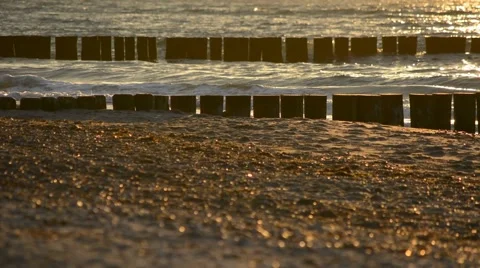 Backlit by the sea Stock Footage 40717279