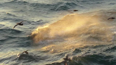 Backlit by the setting sun, waves rise above the sea. Stock Footage 163126330