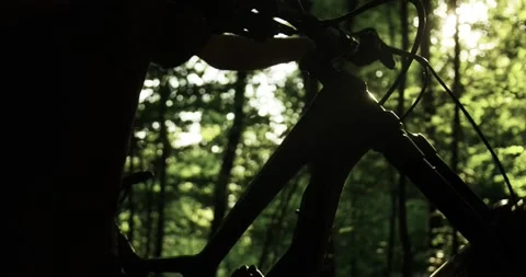 Backlit shot of a mountain biker pushing his bike through a forest. Stock Footage 133433787