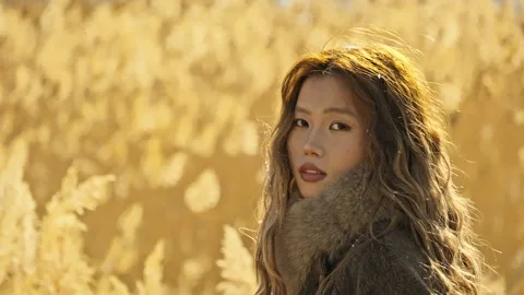 Backlit Side Portrait of Young Asian Woman Looking at Camera with Golden Reeds Stock Footage 325759784