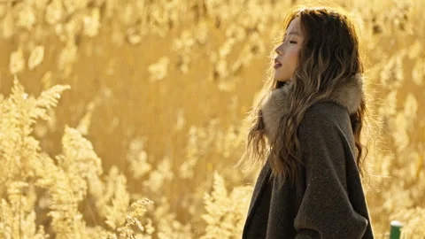Backlit Side Portrait of Young Asian Woman with Golden Reeds 스톡 동영상 325759992