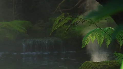 Backlit steam blowing. Stock Footage 303357138