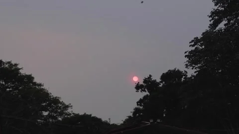 Backlit Sunset with Tree Silhouettes and Orange Sun Video stock 302916557