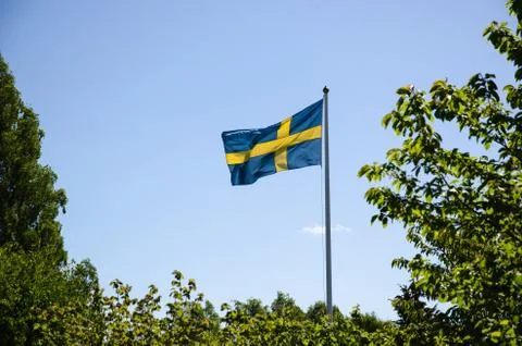 Backlit swedish flag Stock Photos