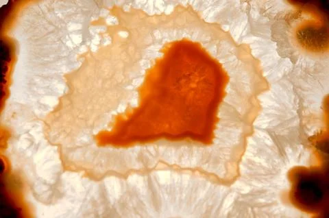 Backlit thin slice of natural agate Stock Photos