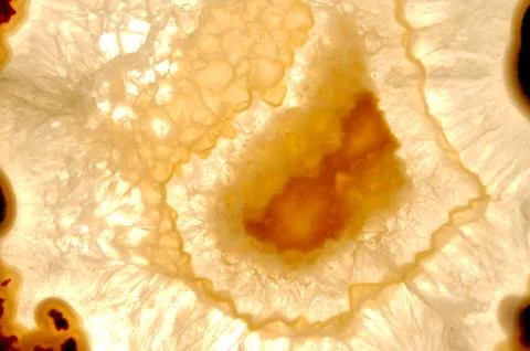 Backlit thin slice of natural agate Stock-Fotos