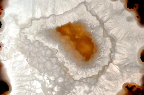 Backlit thin slice of natural agate Stock Photos