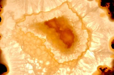 Backlit thin slice of natural agate Foto stock