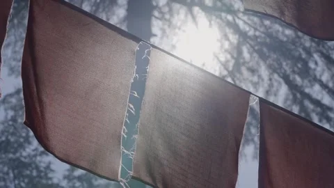Backlit Tibetan Prayer Flags in Mountain Sun Flaring Through Trees Stock Footage 345632623